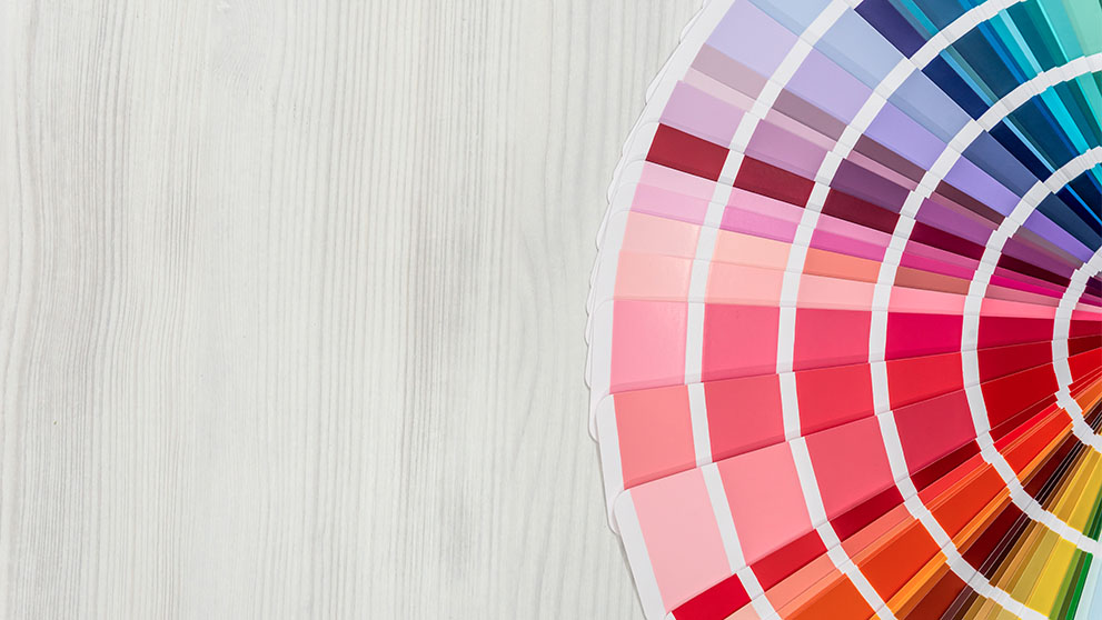colour palette