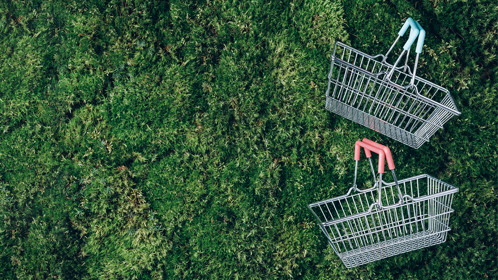 two shopping baskets on grass