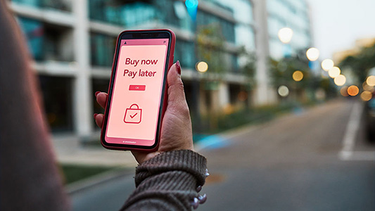 Payment giant adds BNPL crown to its achievements 