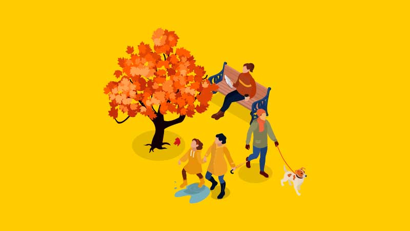 重阳节 - 10月11日
