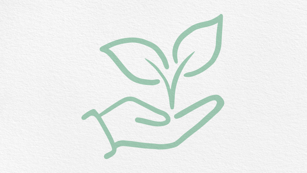 4. Reduce emissions with carbon insetting programs