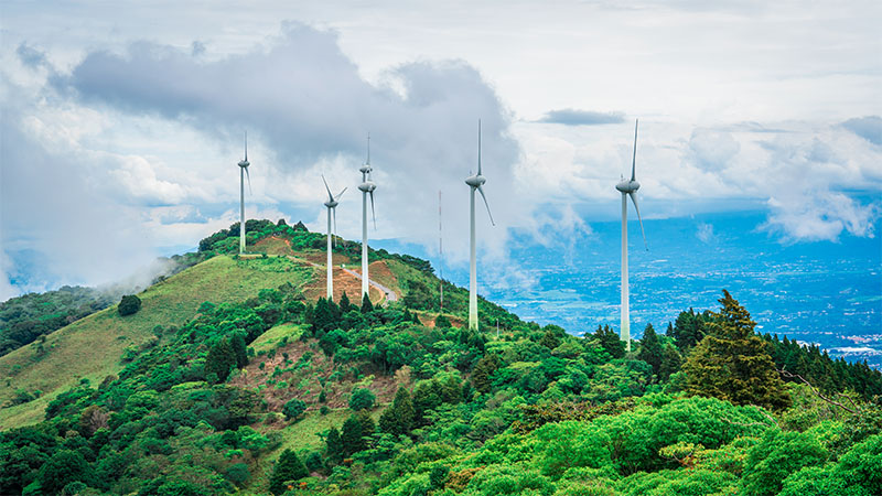 windfarm