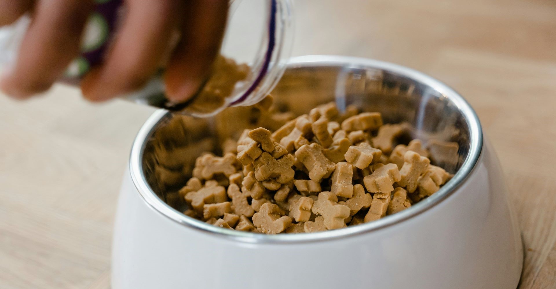 A hand pouring pet food in a bowl amidst growth in the global pet care market.