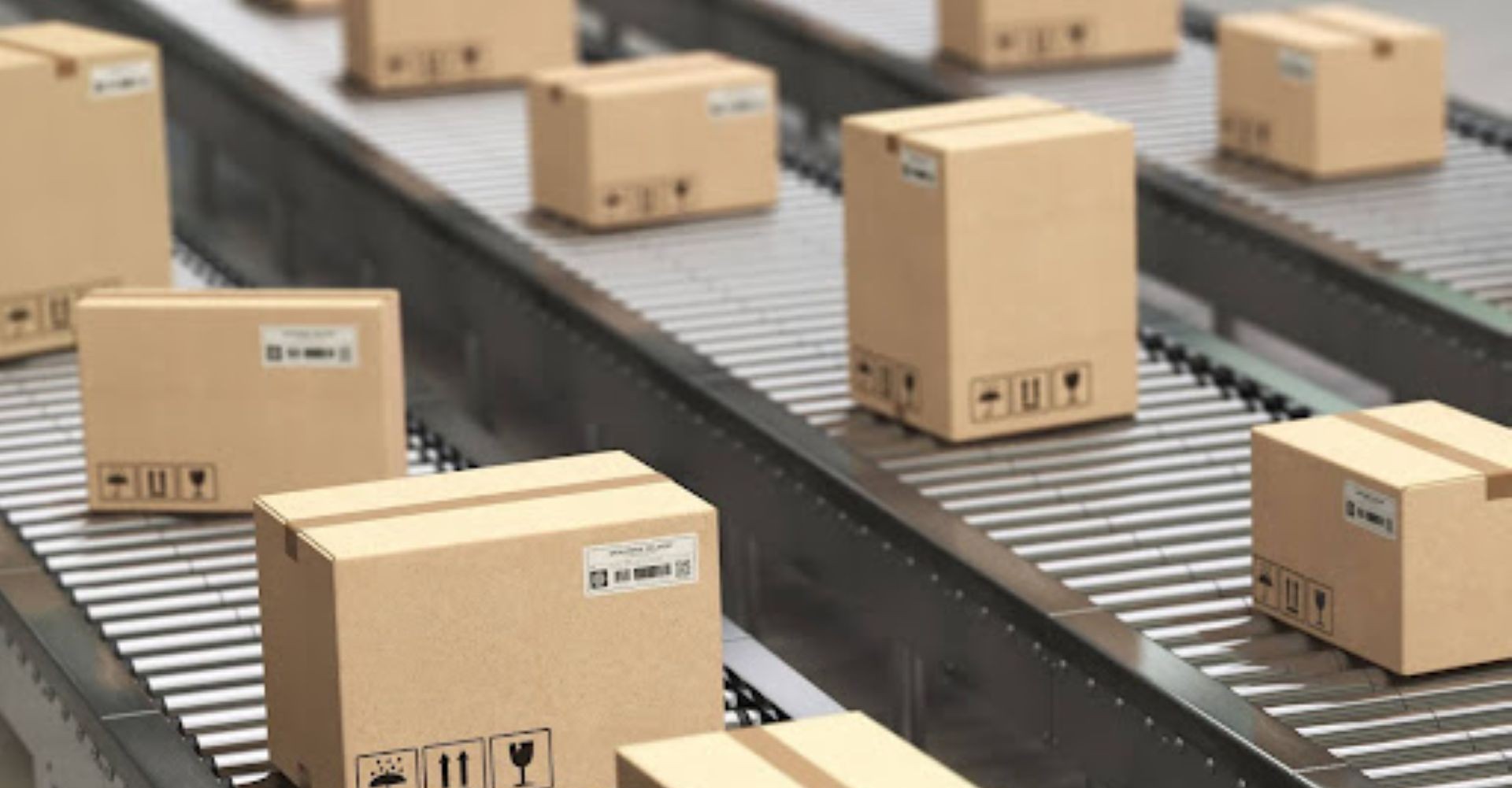 parcels being sorted on a conveyor belt at customs