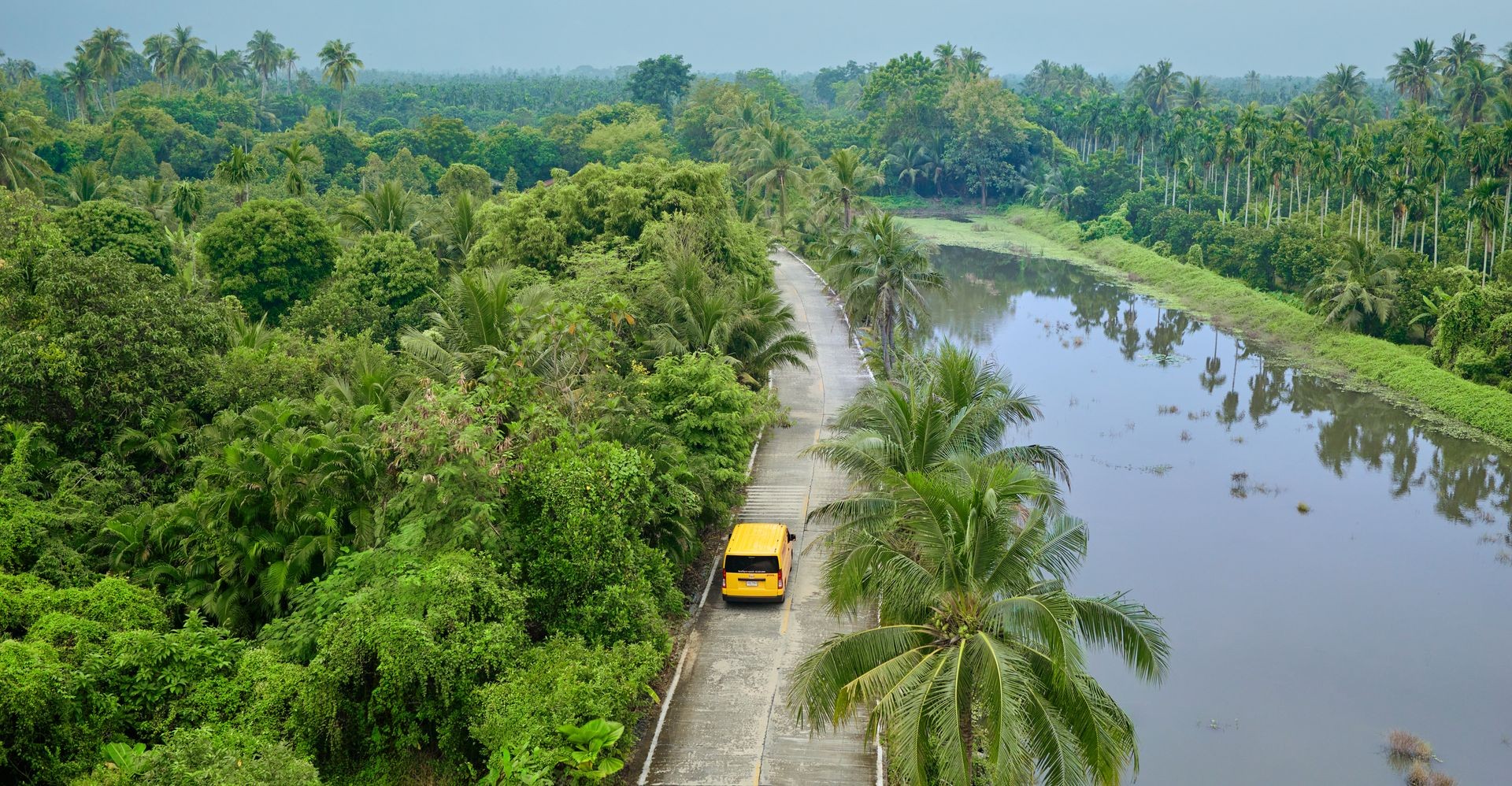 carbon offsetting project