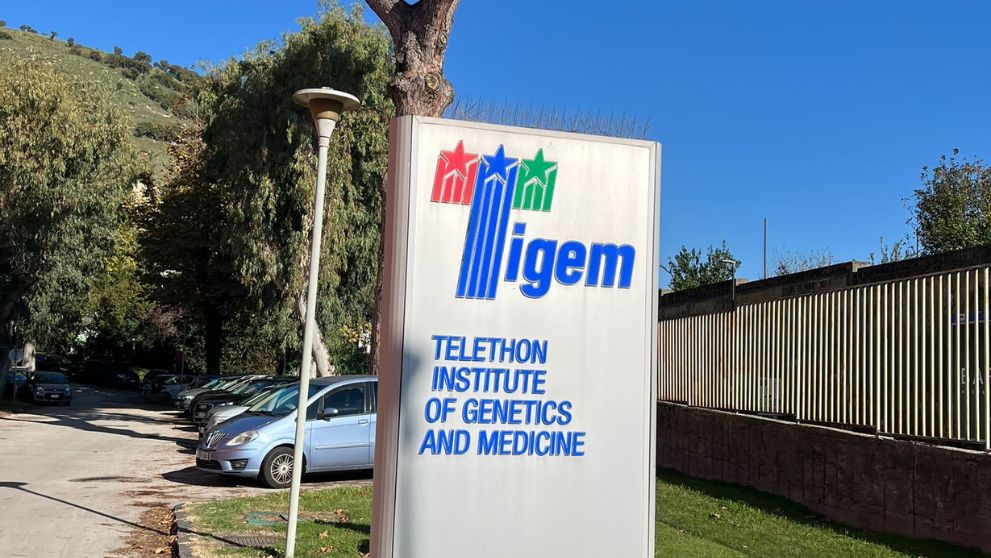 Alcuni scatti della nostra visita al Tigem