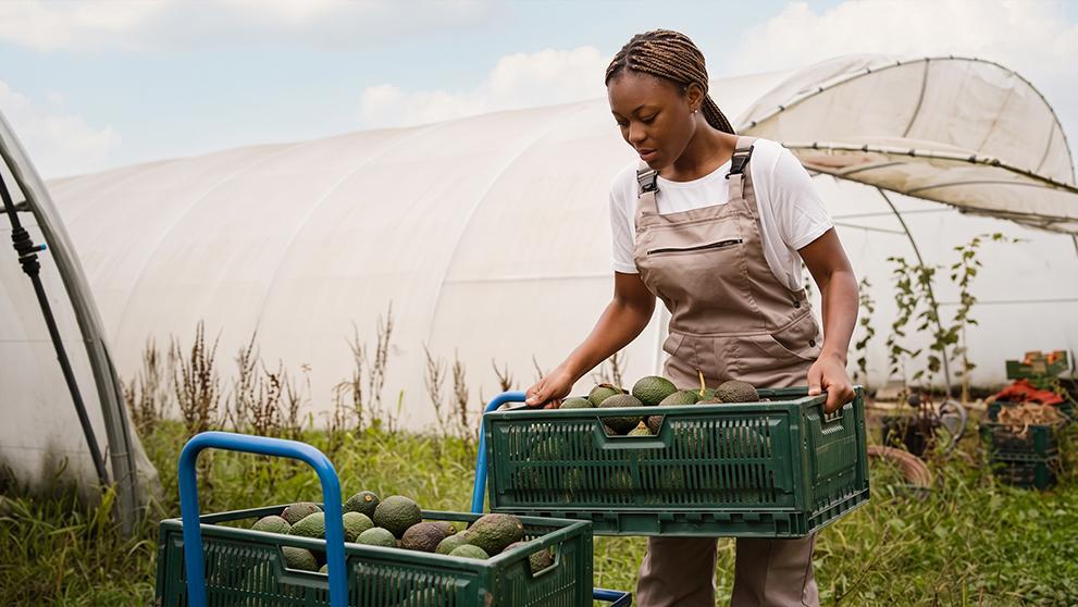 /content/dam/kenya/logistics-guide/export---import-advice/What Changes When You Grow for Export.jpg