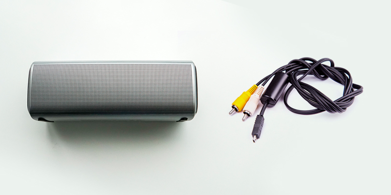 Speaker and input cable