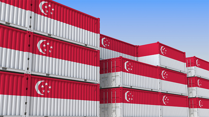 All You Need to Know About Import Tax When Shipping Goods into Singapore