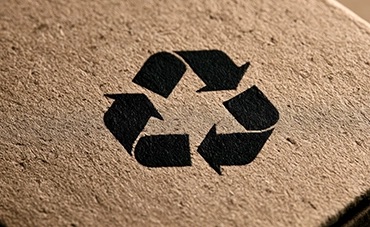 ¿Estás preparado para elevar la estrategia ambiental de tu marca? 
