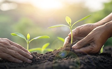 Reducir la huella de carbono