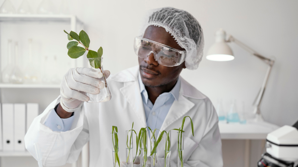 Cold Chain: Unleashing Agriculture and Healthcare