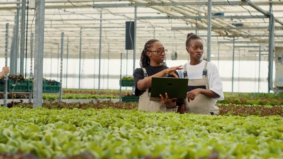Strategic Opportunities for Nigerian Enterprises