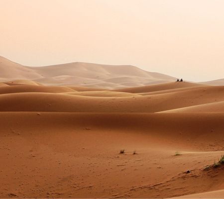 Webinar: O essencial para exportar para Marrocos