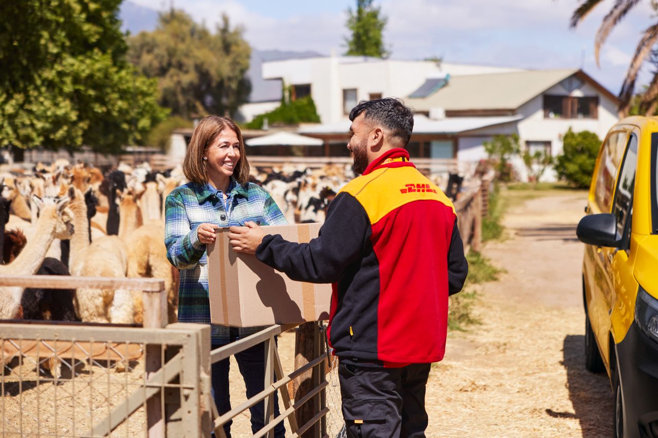 Alpaca farm