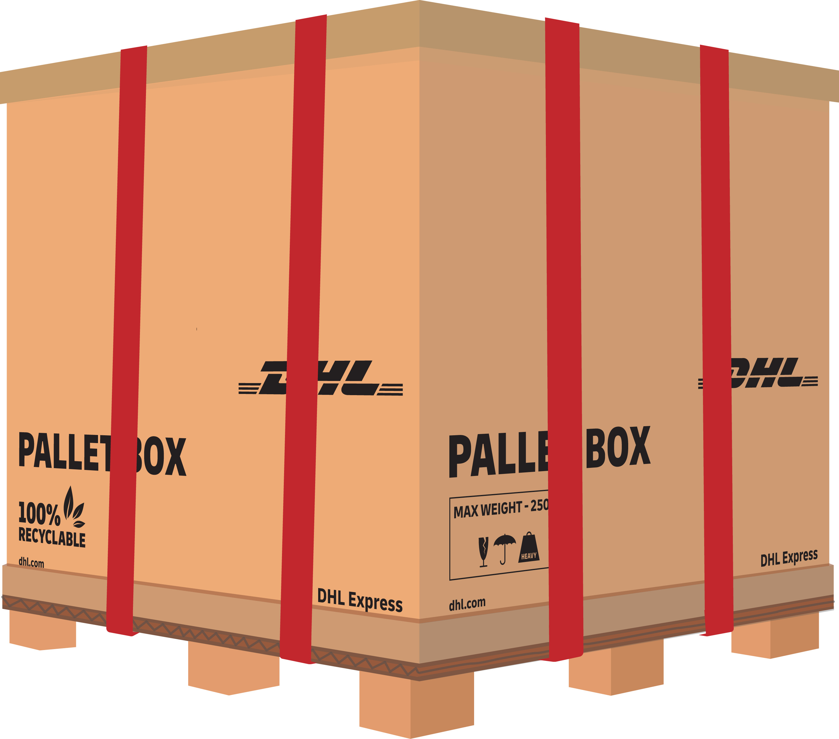 express pallet box