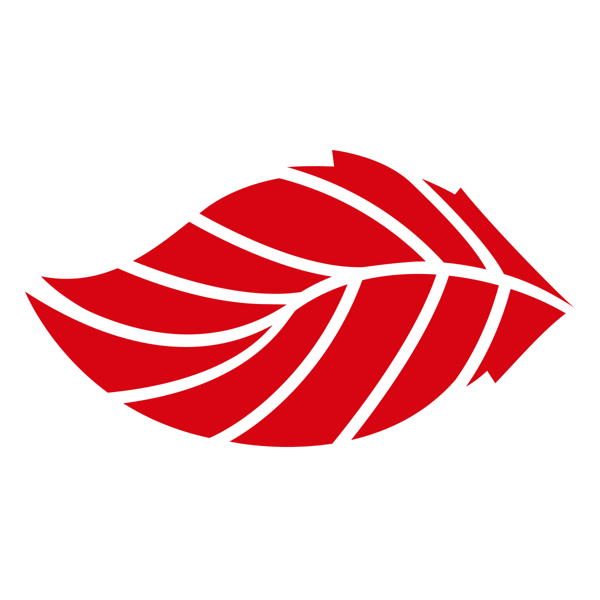 sustainable delivery