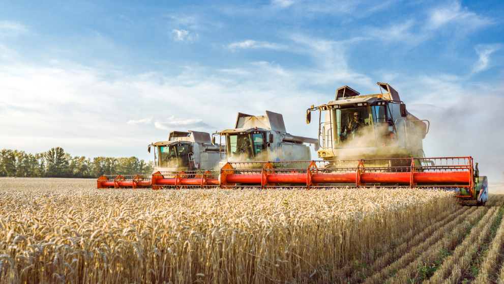 Harvesting Tomorrow