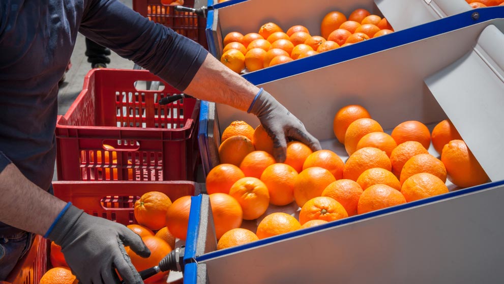 SA's Export Strategy in the Face of U.S. Tariffs