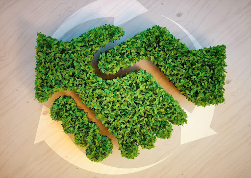 Eco-Friendly Branding in SA