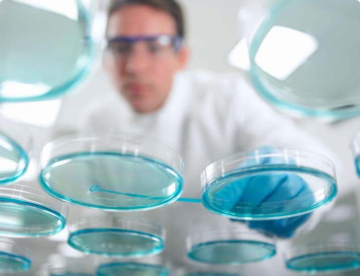 Laboratorios Farmacéuticos