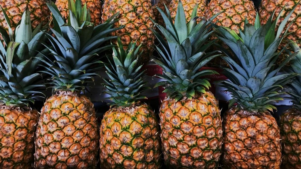 Fresh pineapples stacked closely together, showcasing the quality of pineapple exports from Sri Lanka.