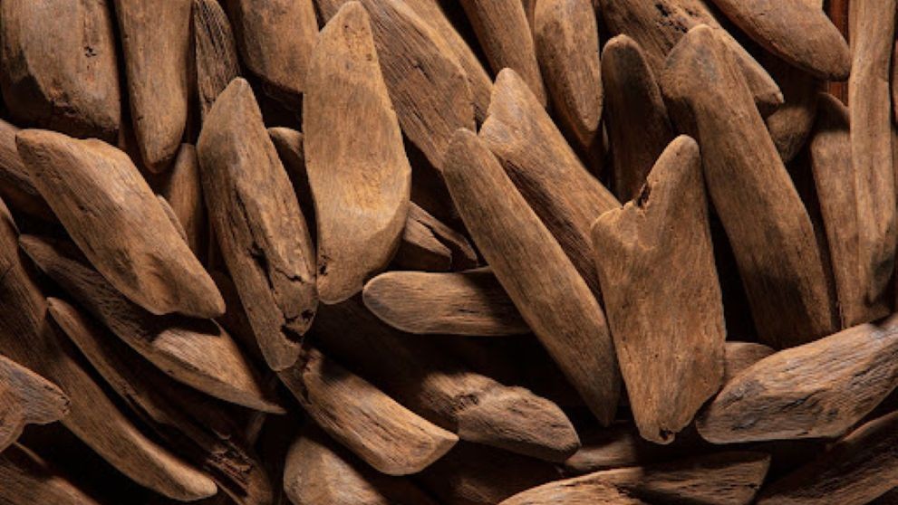 agarwood sticks and chips from sri lanka