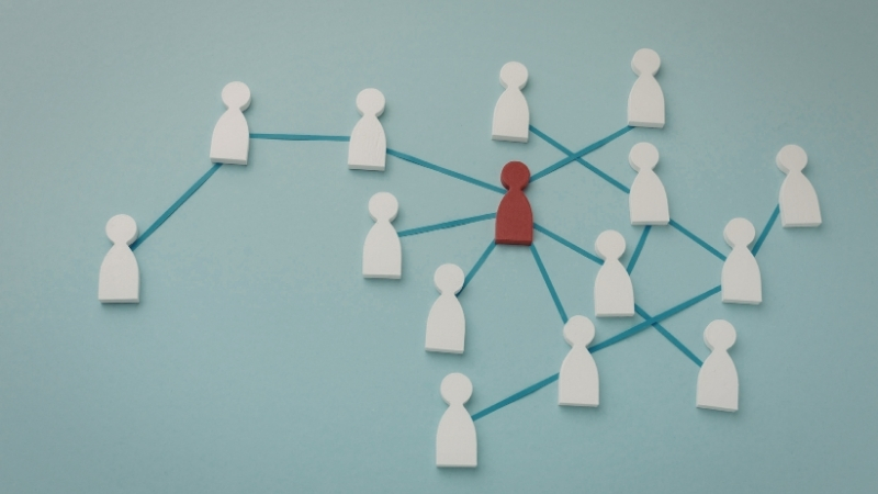 3. İnsan bağlantısı