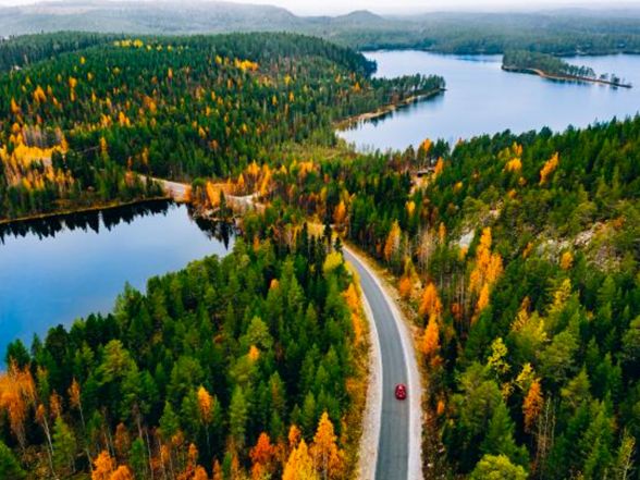 road through forest by the water