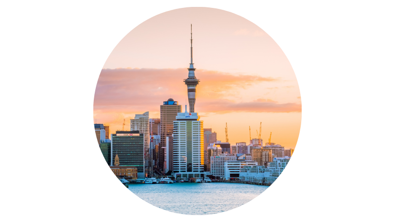 Trade with New Zealand