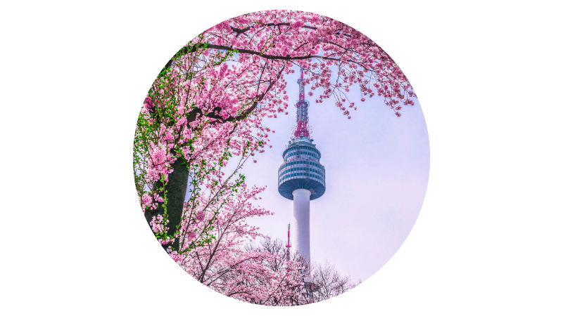 Trade with South Korea