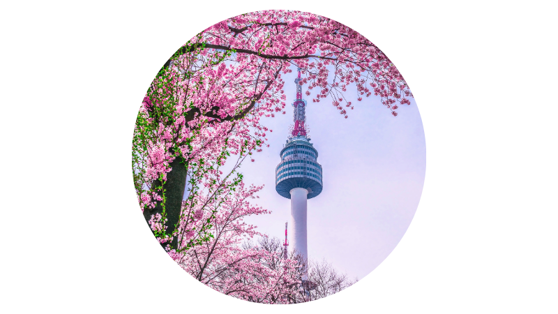 Trade with South Korea