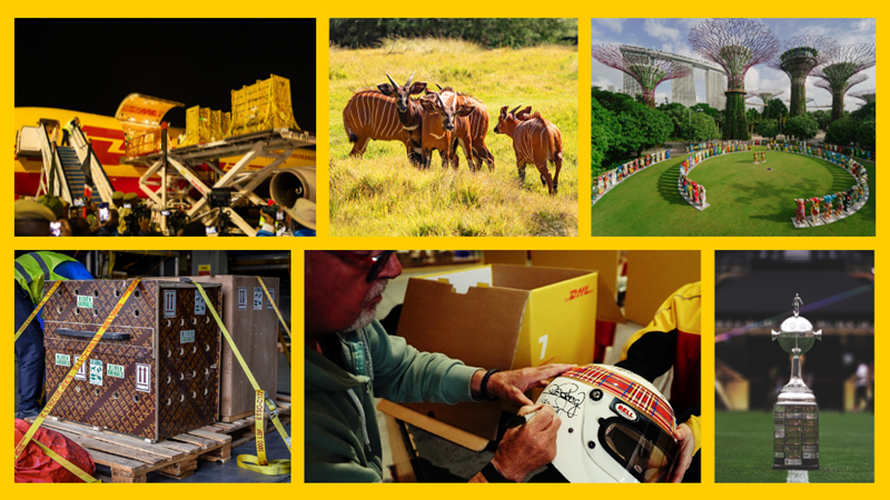 The Most Unusual DHL Deliveries 2025