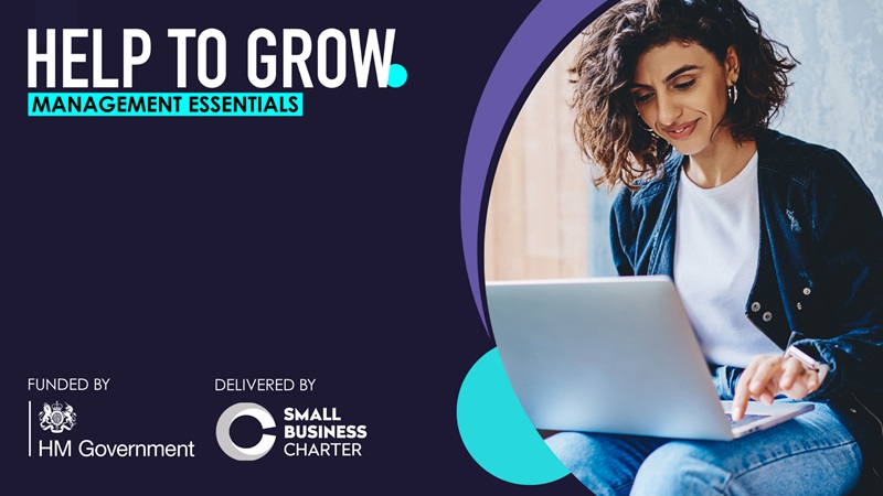 Help to Grow: Free online course for SME success