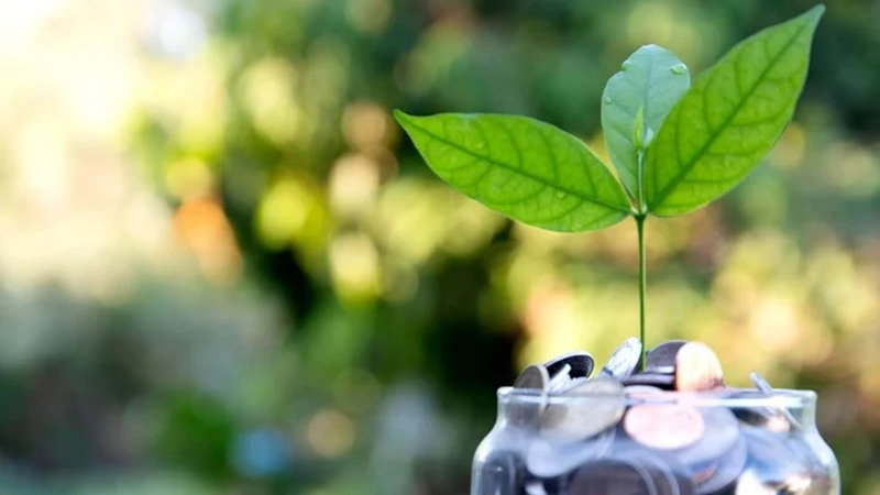 £2 million sustainability fund to support SMEs