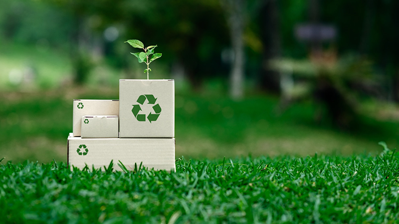 Sustainable packaging trends in 2026