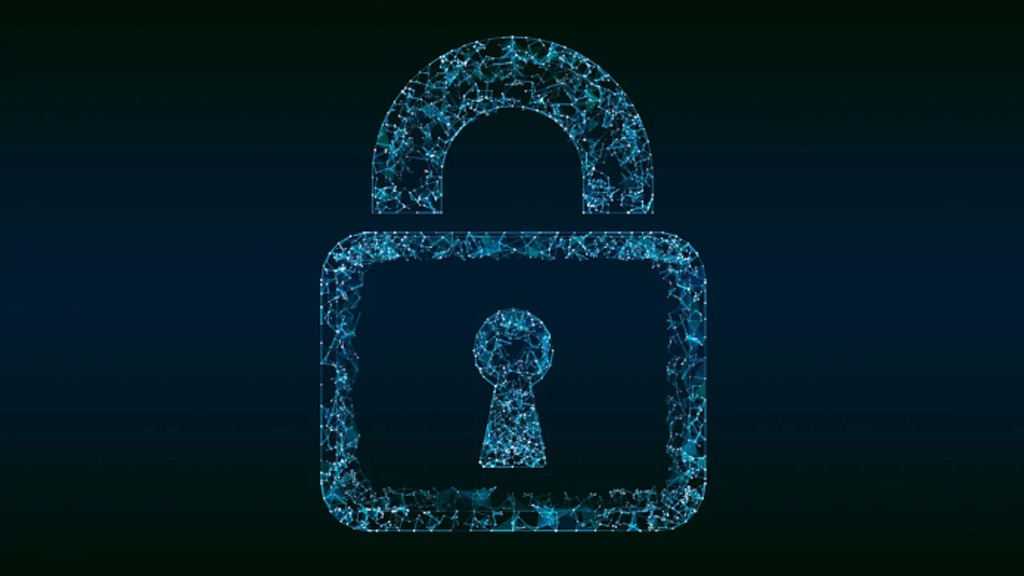 Cyber Security Advice