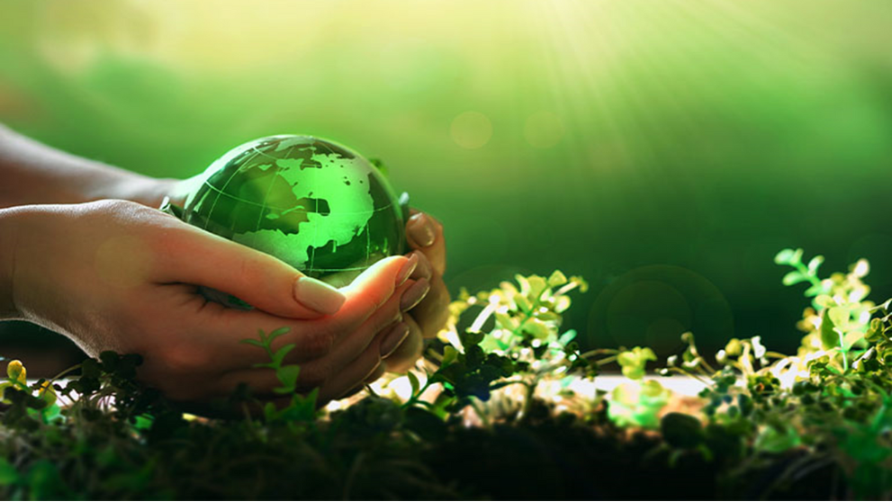 DHL's GoGreen Plus service