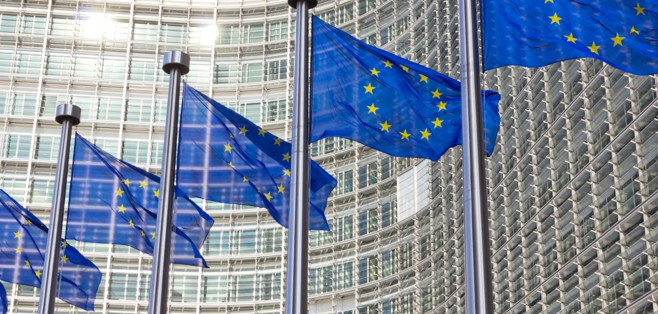EU flags