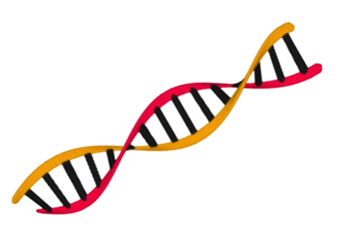 DNA